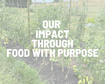 Our Impact